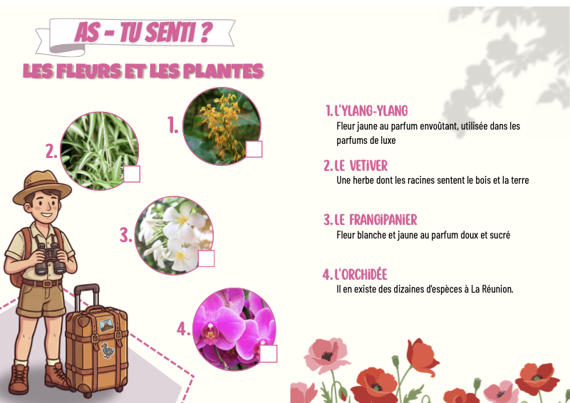 Mes 5 Sens à La Réunion